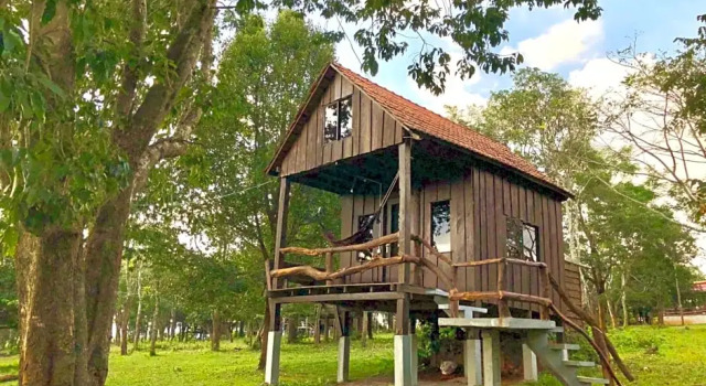 Номер Standard Nature Lodge
