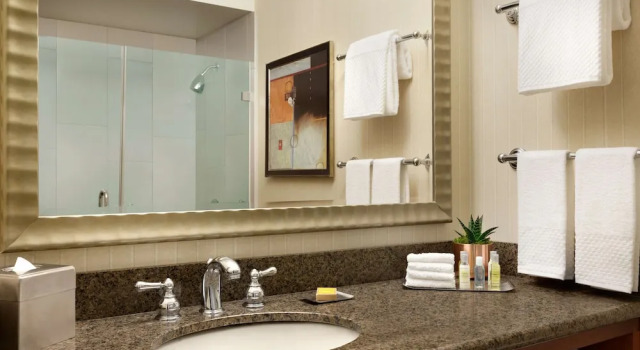 Двухместный номер Standard с балконом DoubleTree by Hilton Minneapolis Park Place