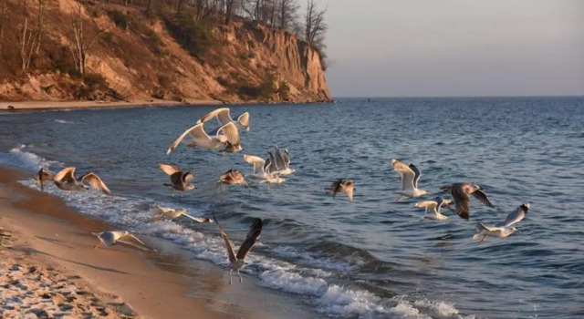 Chata rybacka w Orłowie / Apartament, Varaa Huoneisto Gdynia 