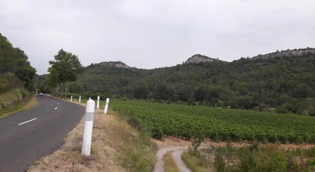le clos des Vins d'anges, 予約 ホテル Saint-Pierre-des-Champs コルビエール