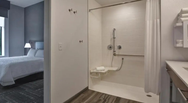 Одноместный люкс Hampton Inn & Suites Tampa Riverview Brandon