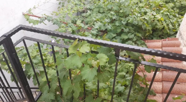 Melon-1, Murter, House for rest, Забронировать Отель Муртер Murter Island