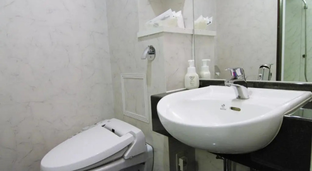 Двухместный номер Superior TsukubaNoYu Urban Hotel