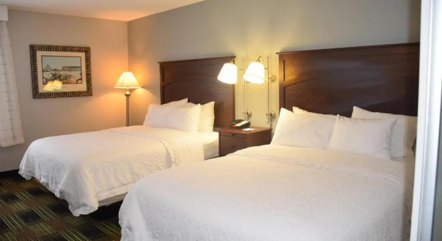 Четырёхместный номер Standard Wingate by Wyndham Baltimore BWI Airport