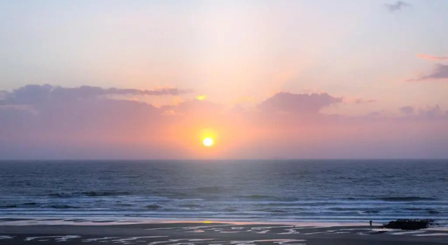 Апартаменты De Zandkorrel - Amazing Seaview