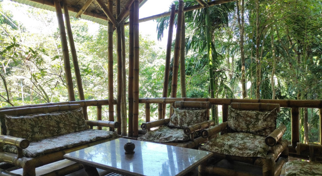 Homocation Sikhiri Cottages, Book Hotel Jyoti Gaon Assam