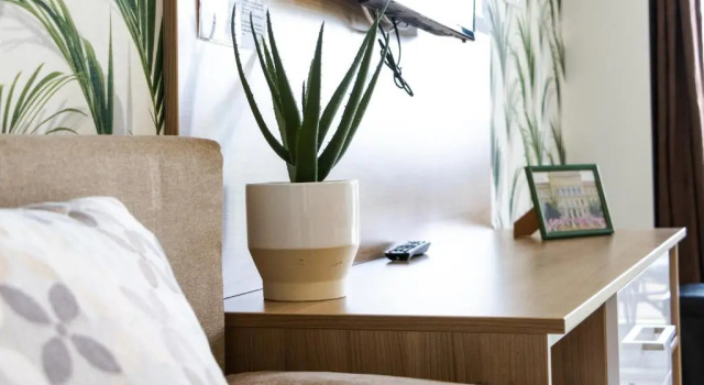 Апартаменты Deluxe Tisza Gyöngye Apartmanok