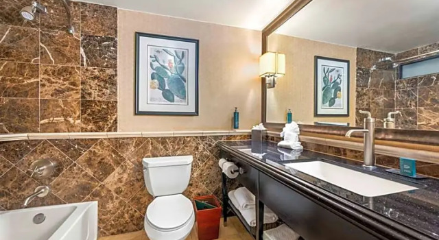 Номер Standard с видом на бассейн DoubleTree by Hilton Tucson-Reid Park