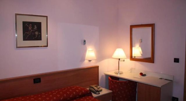 Одноместный номер Standard Hotel Delle Rose