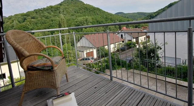 Panorama-Fewo Töpfer