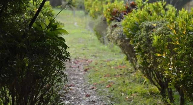 Tente Vue jardin Lali Mou Camp By GRB