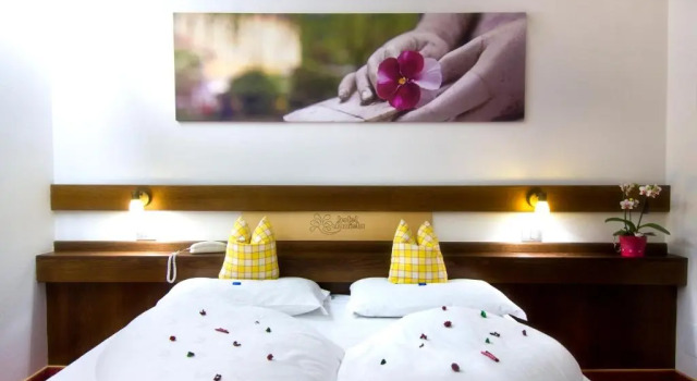 Двухместный номер Standard Hotel Daniela