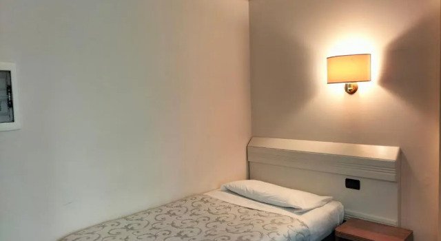 Одноместный номер Hotel Arcadia