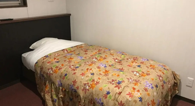 Одноместный номер Western-Style Hotel Famitic Nikko Station