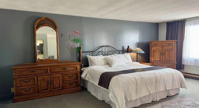 Номер Standard New Age Inn - Voyageur Motel