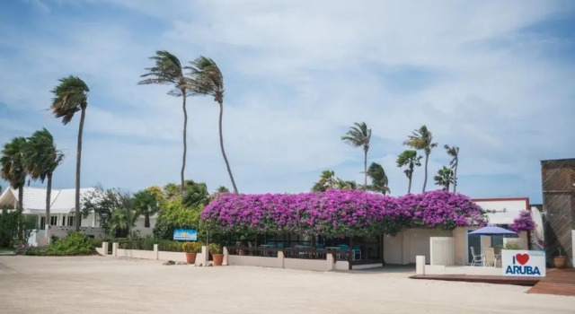 Студия с видом на океан Aruba Beach Villas