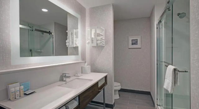 Люкс Hampton Inn & Suites By Hilton Waterloo St. Jacobs