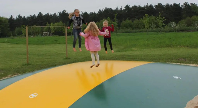 Коттедж Horsetellerie Rheezerveen