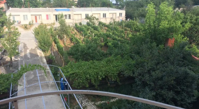 Номер Luxury Wine Garden Apartment