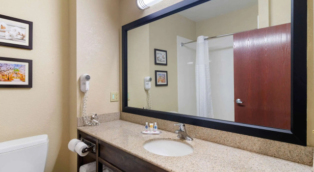 Двухместный люкс Comfort Inn & Suites Griffin North
