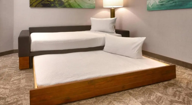 Люкс SpringHill Suites by Marriott Idaho Falls