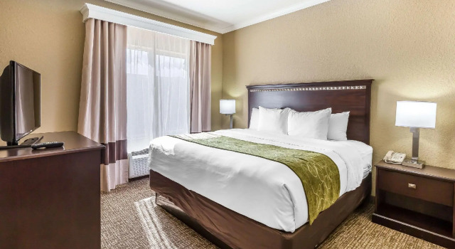 Двухместный номер Standard Comfort Suites Houston IAH Airport - Beltway 8