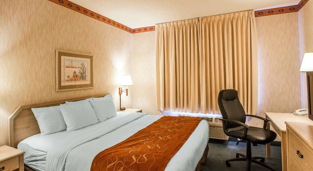 Двухместный люкс Comfort Suites Peoria Sports Complex