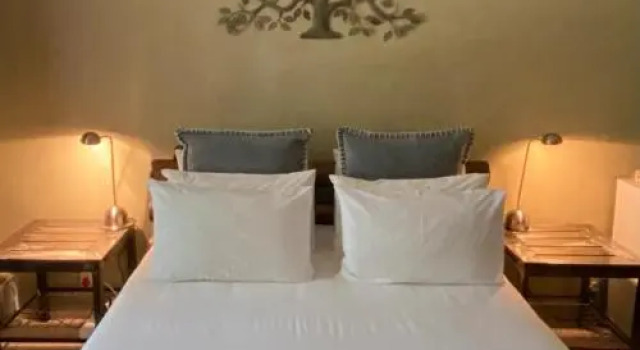 Olive Leaves Guest House