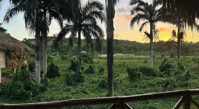 Двухместный номер Luxury с балконом и с видом на реку Dominican Jungle Resort