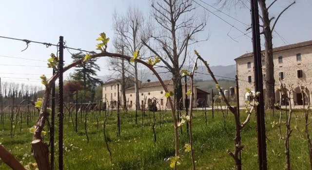 Agriturismo La Bella, Prenota Hotel Hotel a Veneto con parcheggio, Parcheggio