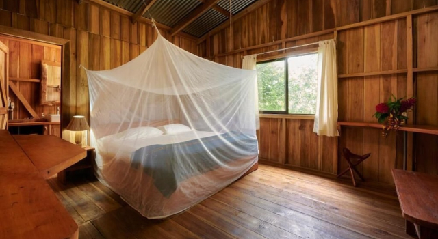 Бунгало Comfort Finca Amistad Cacao Lodge