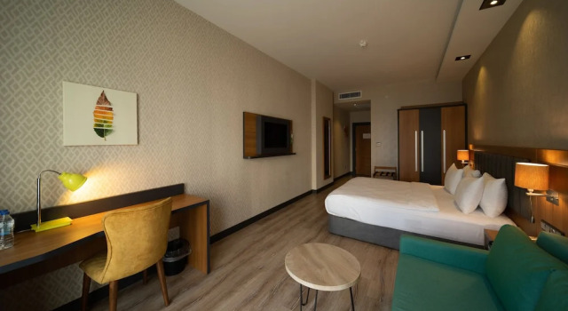 Двухместный номер Standard Holiday Inn - Trabzon-East by IHG