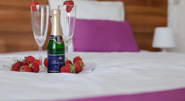Апартаменты Luxury Penzion Olomouc