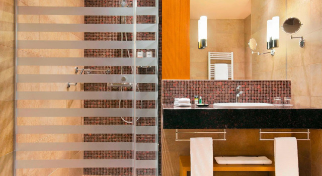 Номер Classic Four Points by Sheraton Kecskemet Hotel and Conference Center