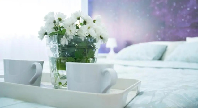 Апартаменты White Night City Center Apartman