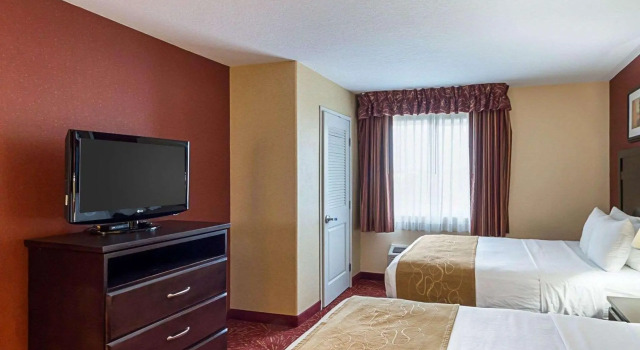 Четырёхместный люкс Comfort Suites Airport