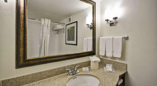 Двухместный номер Standard Hilton Garden Inn Sarasota-Bradenton Airport