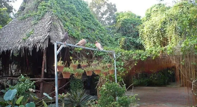 Cai Son Orchard Home Stay