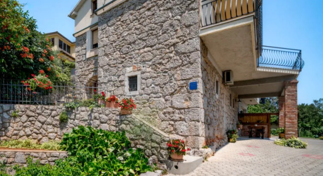 Evići
