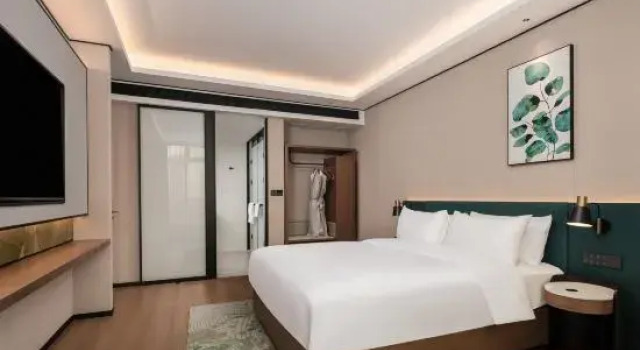 Люкс Superior Hilton Garden Inn Hefei High-Tech Zone