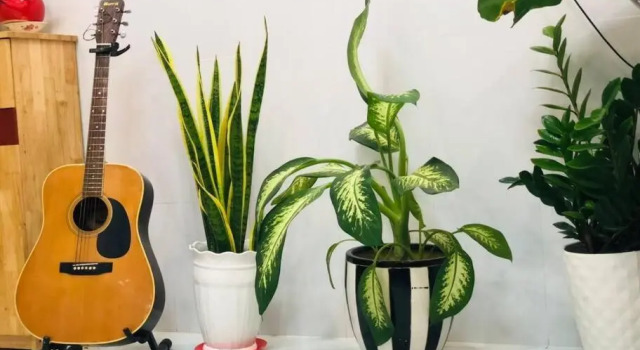 Апартаменты c 1 комнатой Private studio in hidden gem