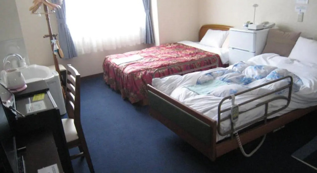 Двухместный номер Standard Okasan Hotel