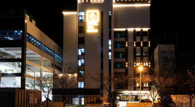 The Brain Hotel