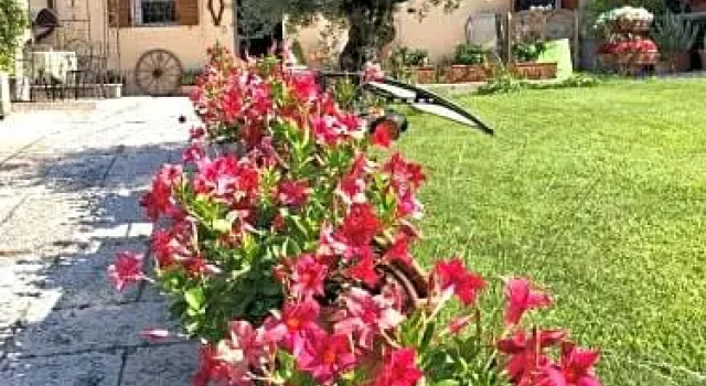 B&B Castel Montorio
