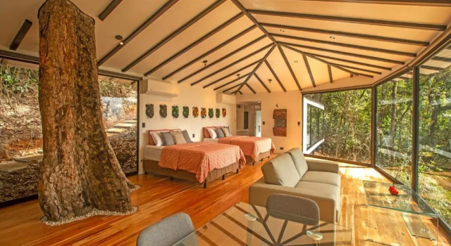 Номер Standard Dantica Cloud Forest Lodge