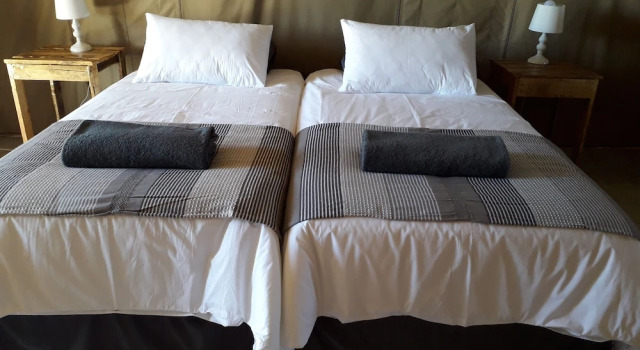 Blue Bushman Luxury Tented Lodge, Prenota Hotel Damaraland Namibia
