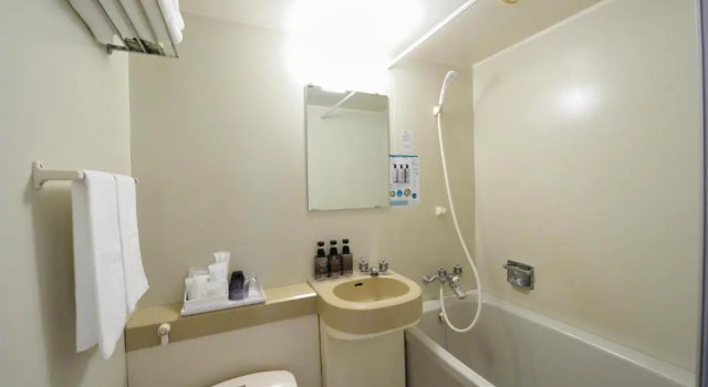 Двухместный номер Standard Court Hotel Shin-Yokohama