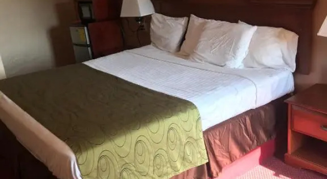 Номер Standard Shamrock Motel