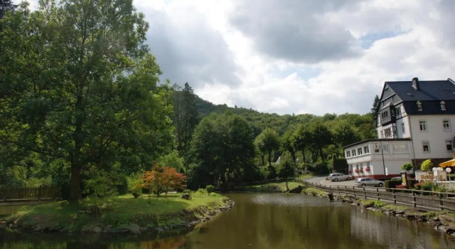 Двухместный номер Standard Bertricher Hof Hotel Garni