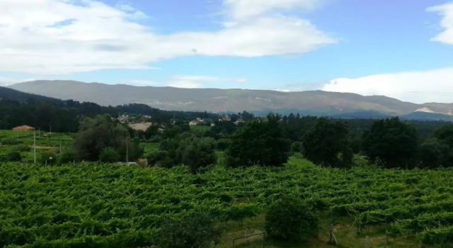 Апартаменты Quinta da Teimosa